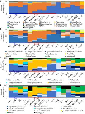 The Structure and Function of Gut Microbiomes of Two Species of Sea Urchins, Mesocentrotus nudus and Strongylocentrotus intermedius, in Japan
